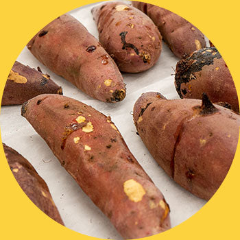 農家直送の厳選したお芋を使用